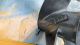 Elica 4 pale in acciaio Evinrude Renegade 14 x 1/4 x 19