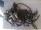 Impianto elettrico motore Suzuki 115cv 4 tempi.