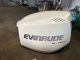 Calandra e Fianchetti Evinrude Etec 200 