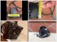 Motorino trim 150/200 Yamaha Dal 2009/2018 -Suzuki dall'80 cv in su  -monta anche Honda 