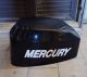 Calandra mercury 40cv 3 cilindri 4 tempi  - Segni di usura